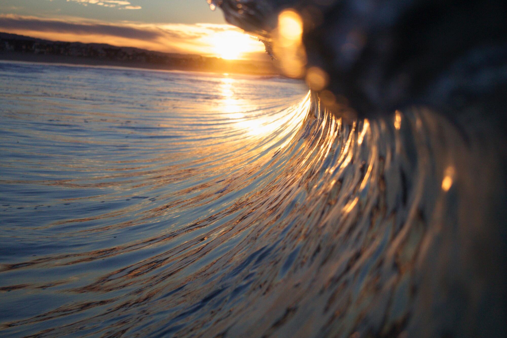ocean wave golden